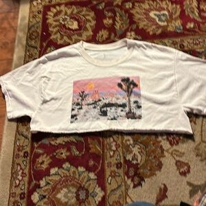 NWOT Social scene Death Valley print cream cropped tshirt size m